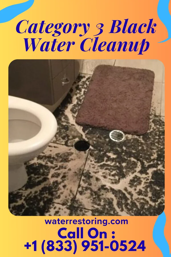 Category 3 Black Water Cleanup in Broadway, NC