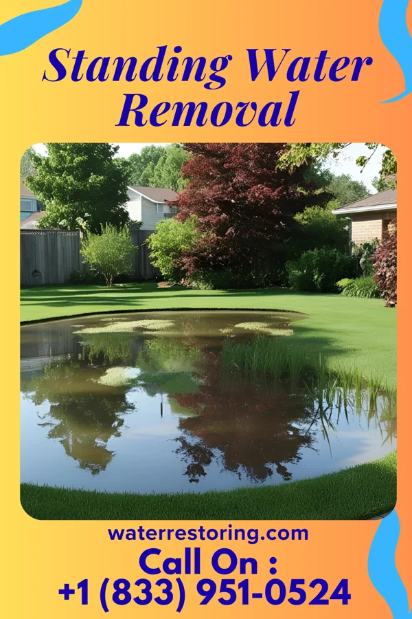 Standing Water Removal in Broadway, NC